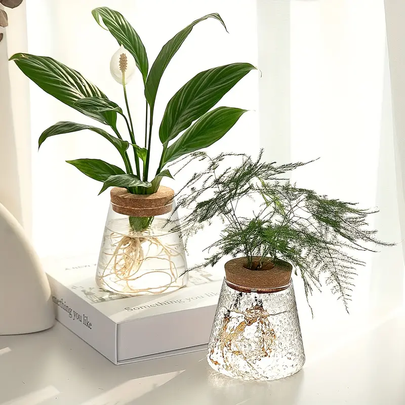 AquaRoots™ Glass Plant Propagators with Cork Lid - Image 3