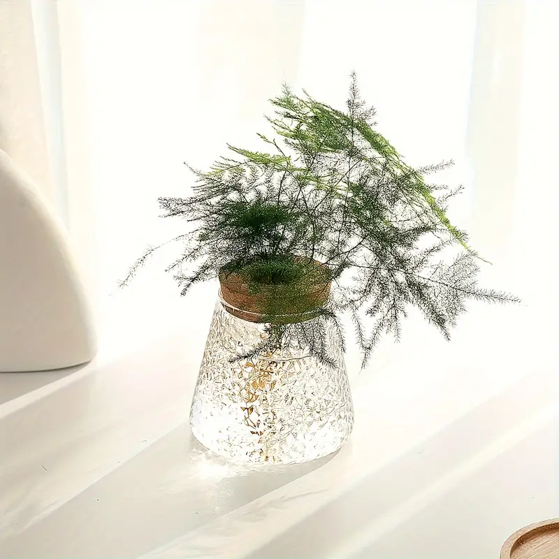 AquaRoots™ Glass Plant Propagators with Cork Lid - Image 5