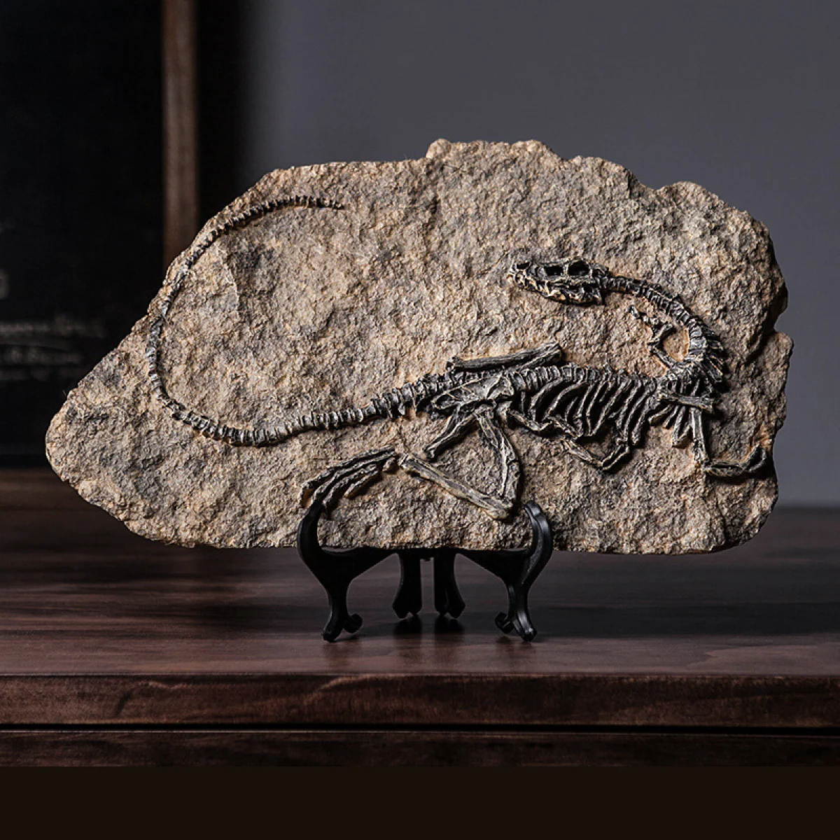 Genesis Fossil Sculpture - Image 2