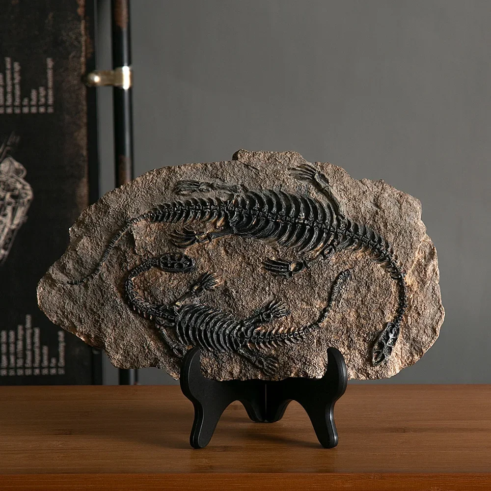 Genesis Fossil Sculpture - Image 6