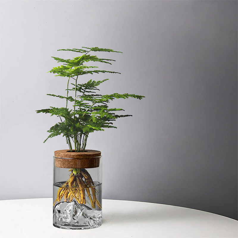 Sofia Glass Root Planter - Image 2
